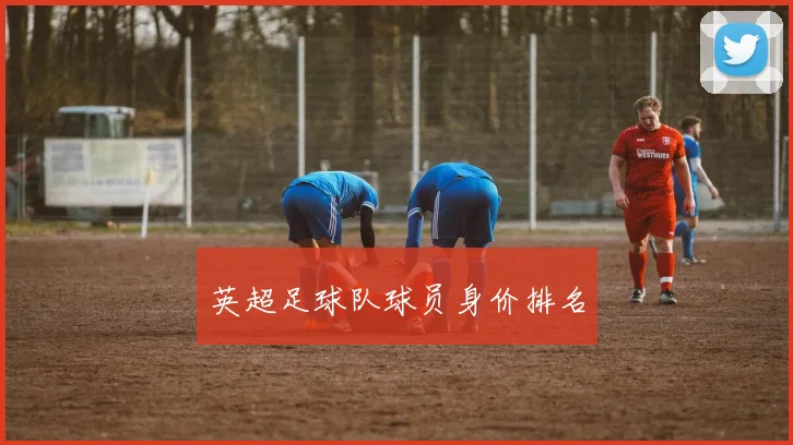 英超足球队球员身价排名