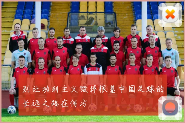 别让功利主义毁掉根基中国足球的长远之路在何方